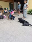 img_20240620_085631