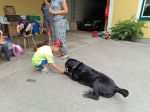 img_20240620_085806