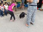 img_20240620_085830