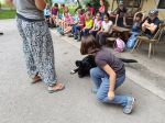 img_20240620_085854