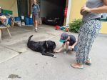img_20240620_085903