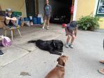 img_20240620_085912