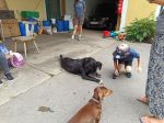 img_20240620_085921