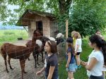 img_20240620_091036