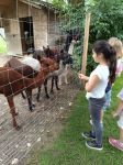 img_20240620_091100