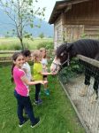 img_20240620_092547