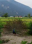 img_20240620_093004