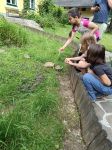 img_20240620_100046