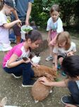 img_20240620_100817
