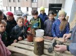 img_20240315_092655