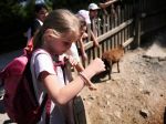 img_20240513_103852