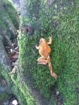 img-20181009-wa0008