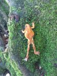 img-20181009-wa0009