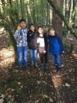 img-20181009-wa0037